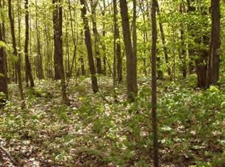 NULL-V/L W Wood Rd, Mears, MI 49436