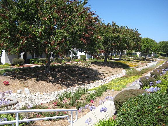3rd image of 3518 Pear Blossom Dr