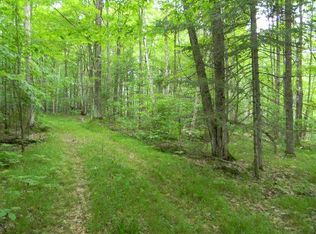 2555 Deer Ln, Pelican Lake, WI 54463