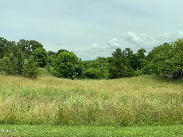 0 Austin Mill Rd, Rogersville, TN 37857