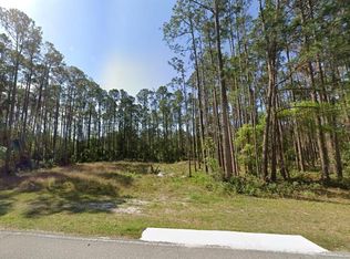 243 & 245 Georgetown Denver Rd LOT 12, Georgetown, FL 32139