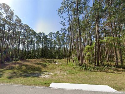 243 & 245 Georgetown Denver Rd Lot 12, Georgetown, FL, 32139