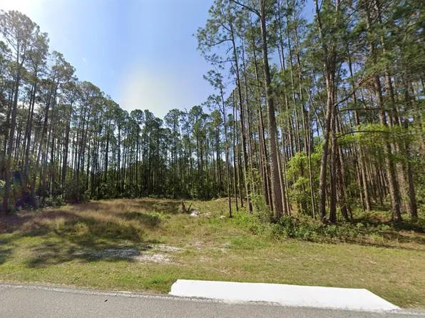 243 & 245 Georgetown Denver Rd Lot 12, Georgetown, FL 32139