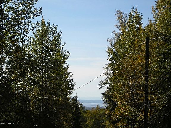 4th image of 19325 High Bluff Dr