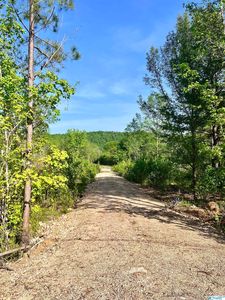 4275 Green Valley Rd, Gadsden, AL, 35907