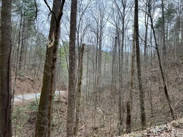 3 Woodside Ln Lot 3, Sevierville, TN 37862