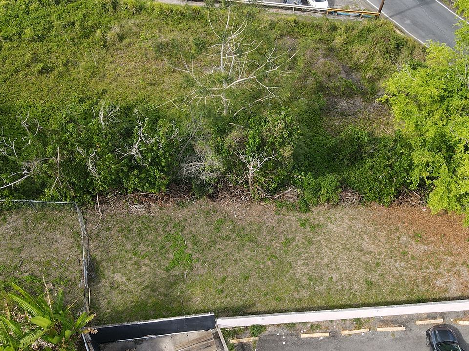 1st image of 924 Bo Collores