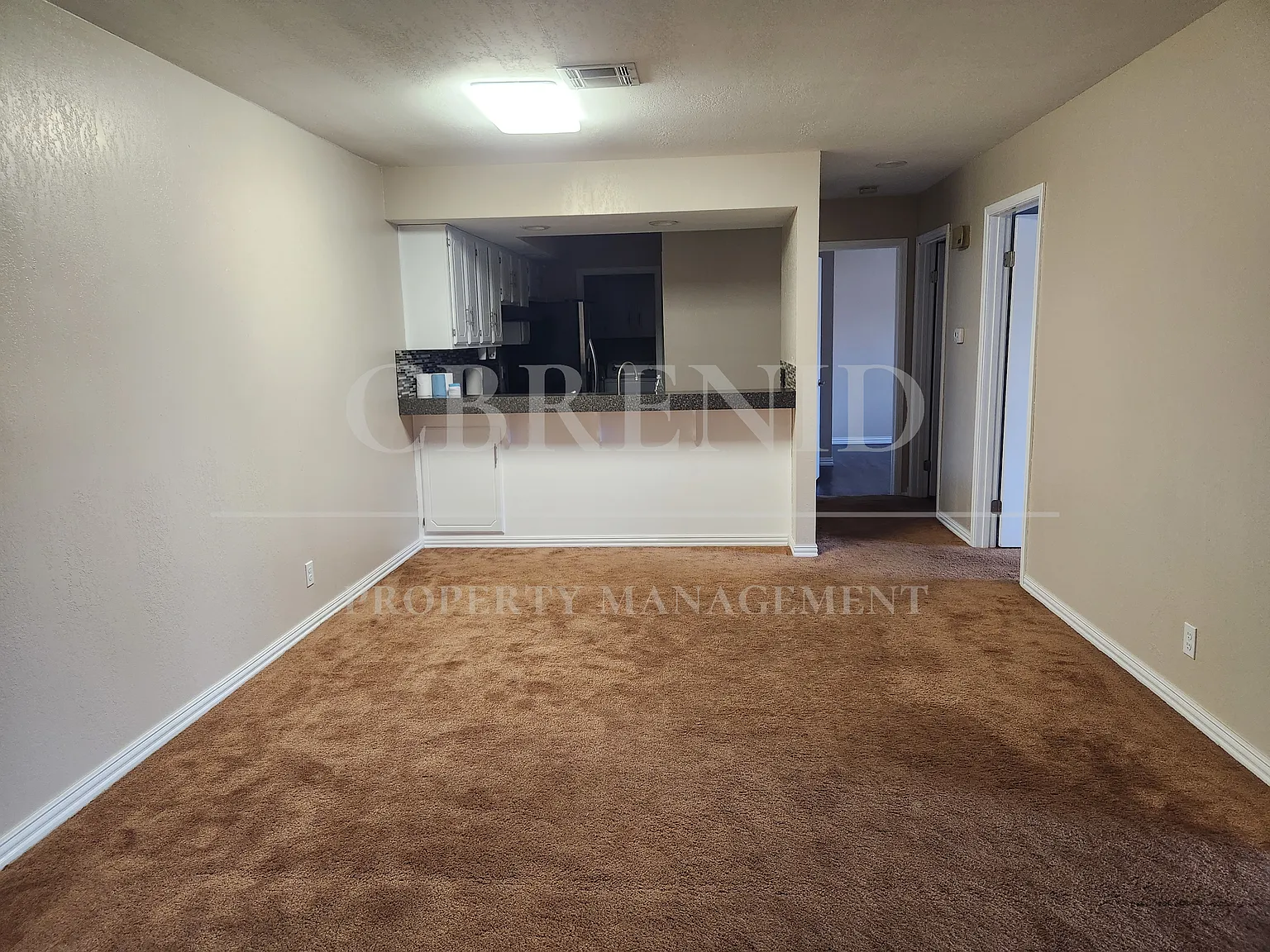 2 bed, 1050 sqft, $875 — Photo 4