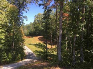 315 Whiskey Run Ln, Clayton, GA 30525