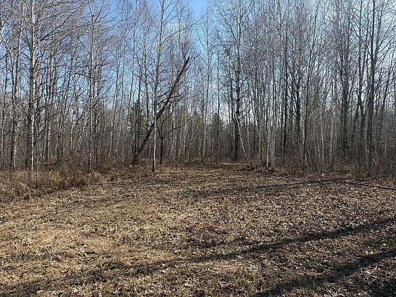 3rd image of Beaver Claw Rd