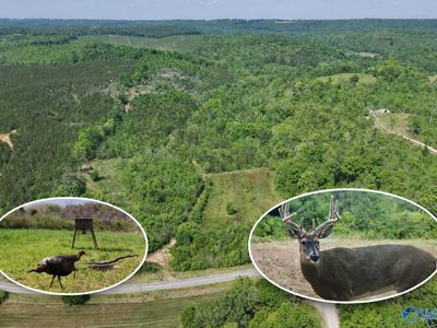 County Road 227, Attalla, AL, 35954