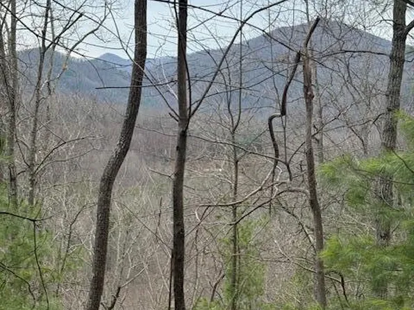 Ray Kegley Rd, Erwin, TN 37650