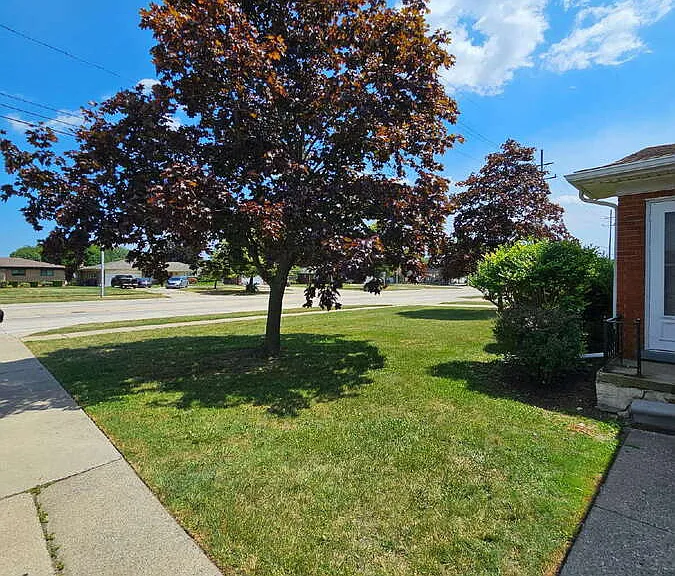 28555 Little Mack Ave — Photo 2