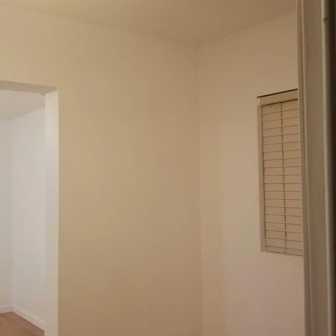 3 bed, 800 sqft, $2,350 — Photo 4