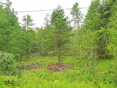PARCEL H F #30, Greenbush, MI, 48738