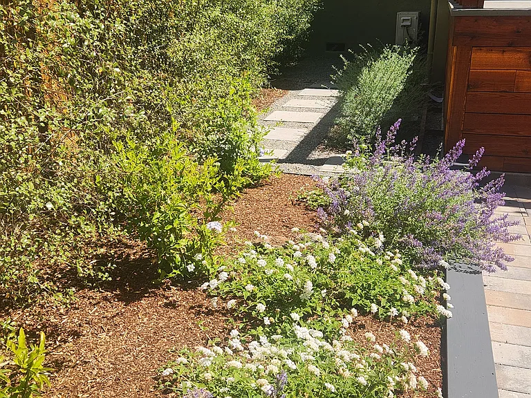 Backyard, east side yard landscaping and pavers