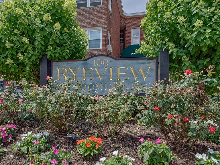 100 Theodore Fremd Ave #B2C — Photo 1