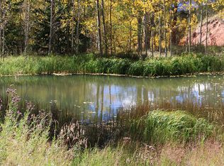 776 Stoner Rd, Divide, CO 80814