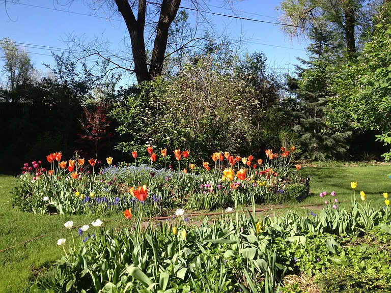 Front Yard.
After all... a great place to call Home!
