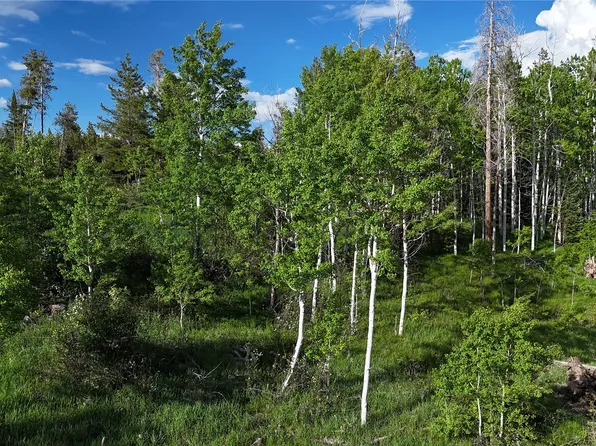 32965 Maverick Way, Oak Creek, CO 80467