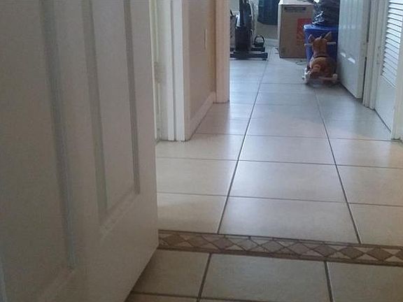 3rd image of 6412 Queens Borough Ave APT 202