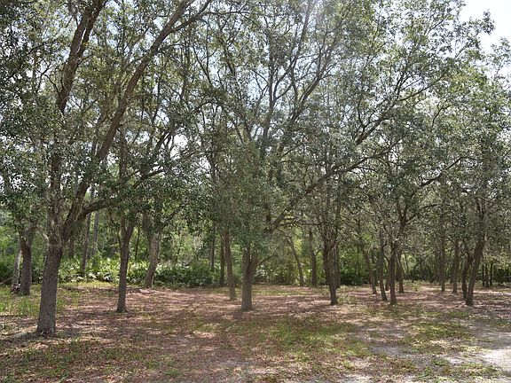 2nd image of 126 Nancy Pl Lot Wp001