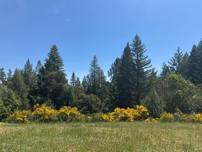 4579 Mill Creek Road, Healdsburg, CA, 95448
