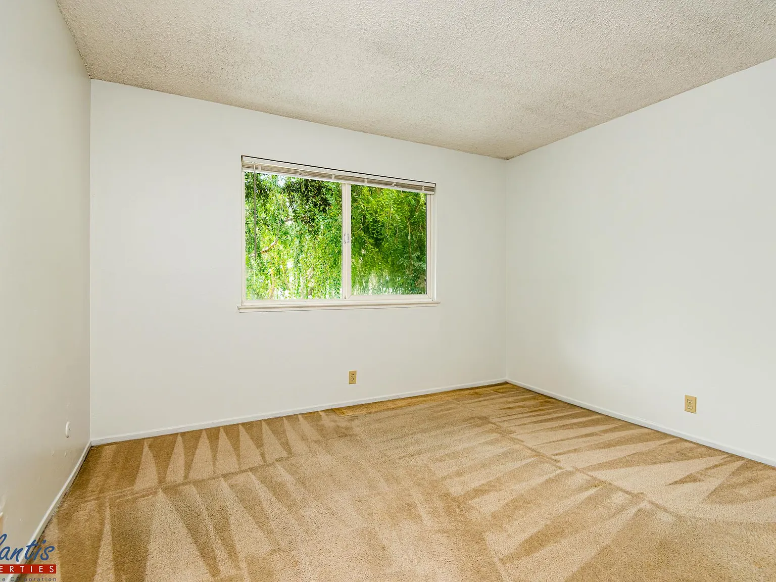 2 bed, 798 sqft, $2,845 — Photo 4