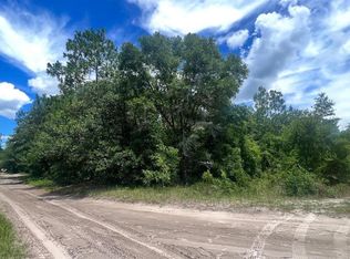 SW 156th Pl, Dunnellon, FL 34432