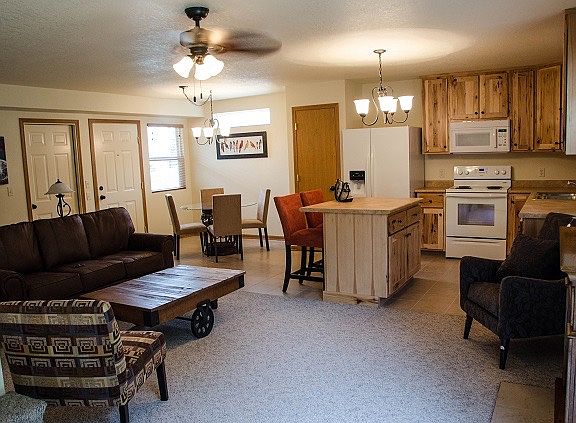 Living room/Dining/Kitchen