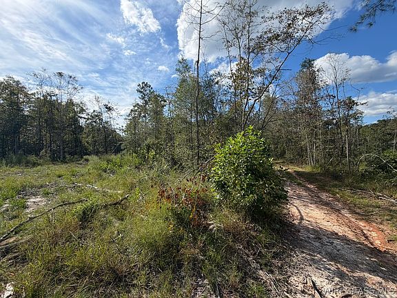 4th image of 0 County Road 4425