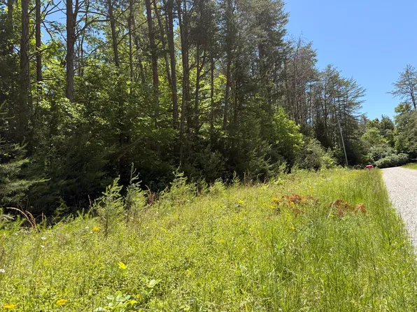 15 & 24 28 Pine Tree Rd #17, Nancy, KY 42544
