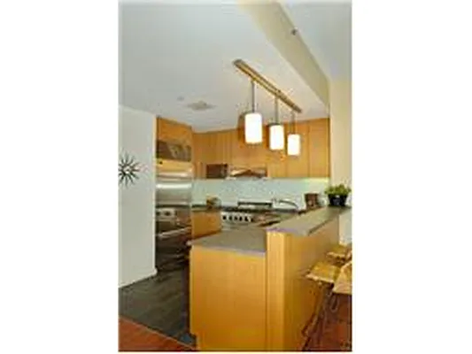 Rented by Douglas Elliman | media 16