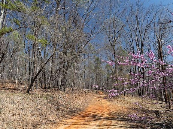 4th image of 0 Soapstone Rd