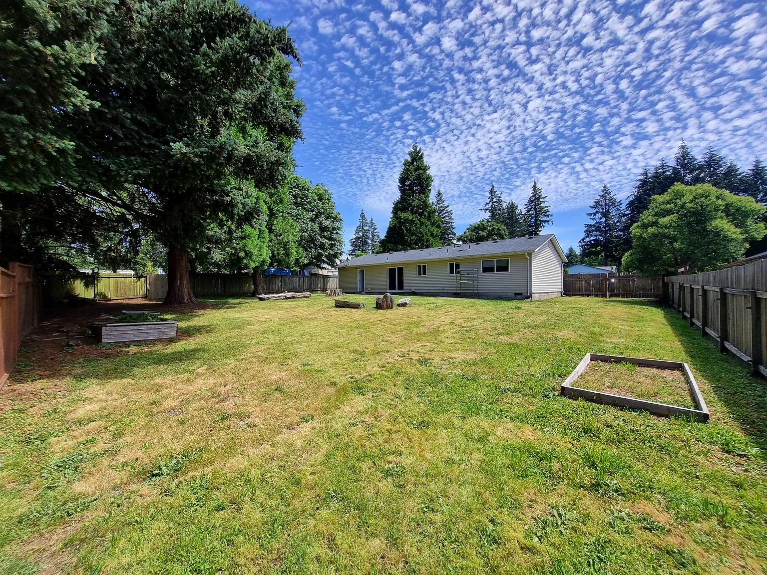 3 bed, 1.5 bath, 988 sqft, $2,330 — Photo 3