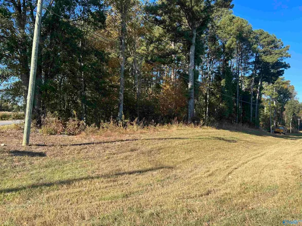 LOT 4 State Highway 75, Horton, AL 35980