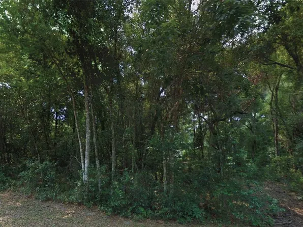 10534 E Waxwing Ln #5, Floral City, FL 34436