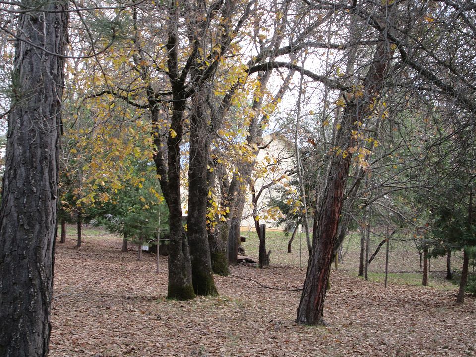 2nd image of 2381 Wild Goose Canyon Rd