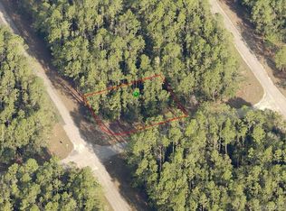 206 W Diego Pl, Citrus Springs, FL 34434