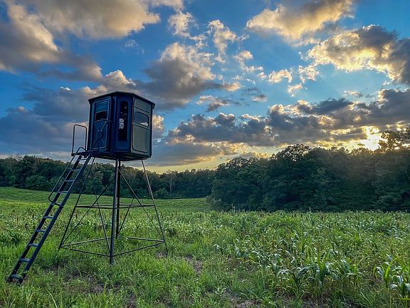 5th image of 1651 Yellow Creek Rd