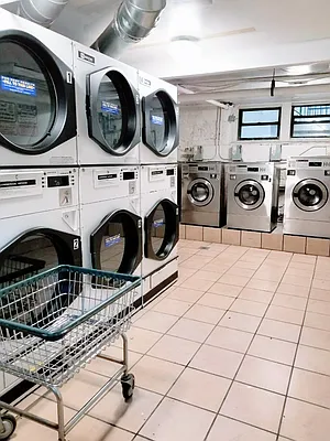 Rented by Voro, LLC | media 3