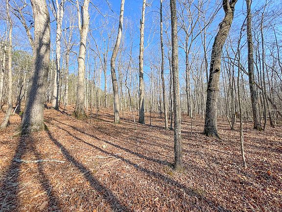 5th image of 0 Allgood Church Rd