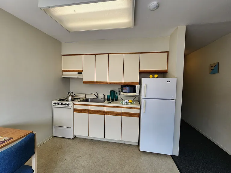 Collegetown Court, 208 Dryden Road — Photo 27