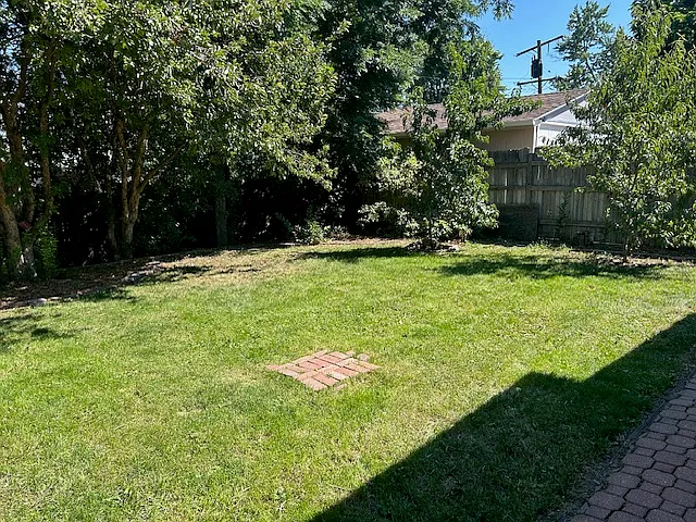 Lawn area