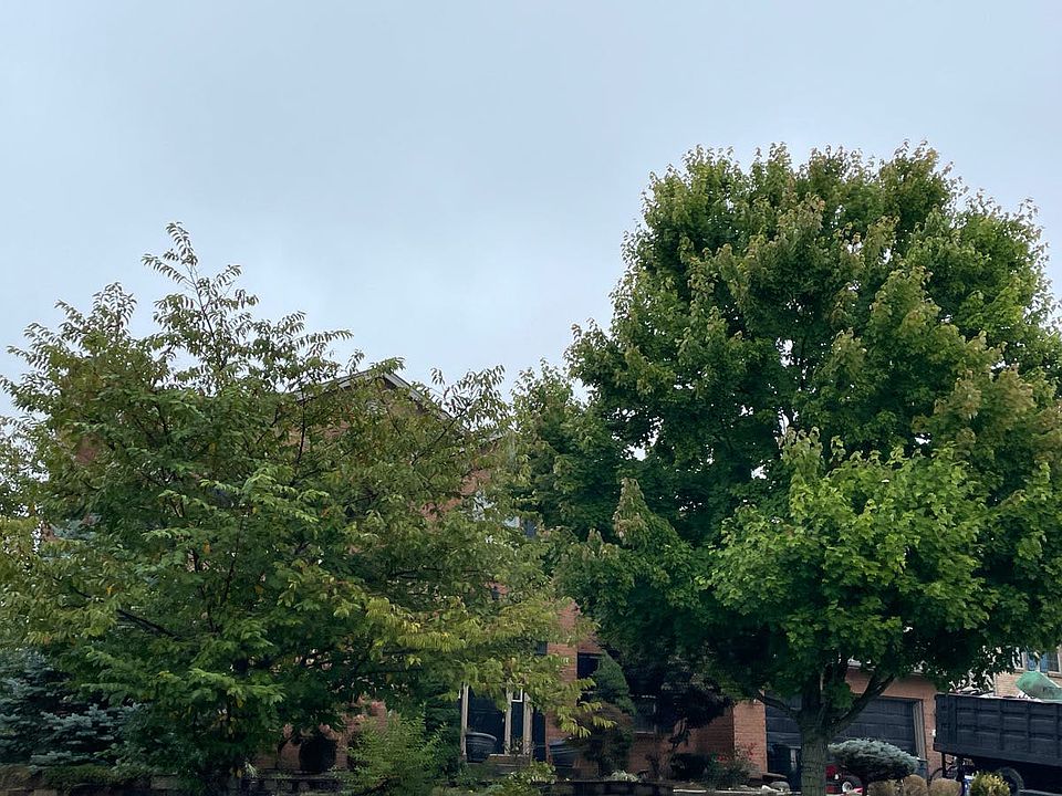 1st image of 6734 Alana Ct