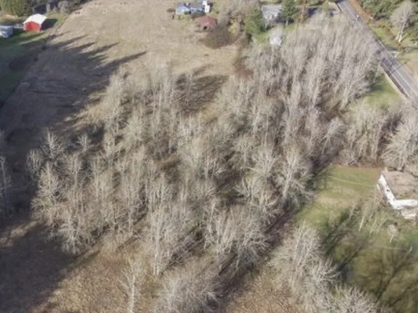 23015 NE 28th St, Camas, WA 98607