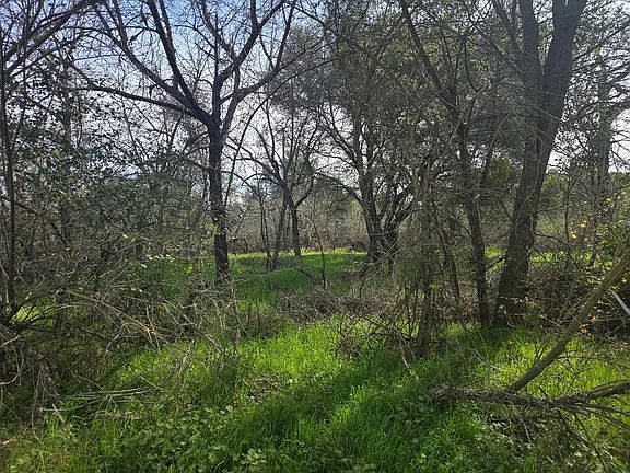 2nd image of 7824 Bollea Rd