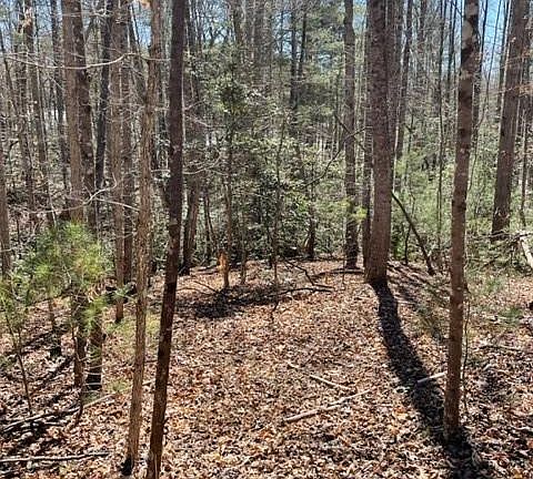 3rd image of LOT 18 Blue Mountain Rd Lot 18