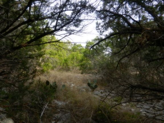 5th image of 2512 Black Bear Dr