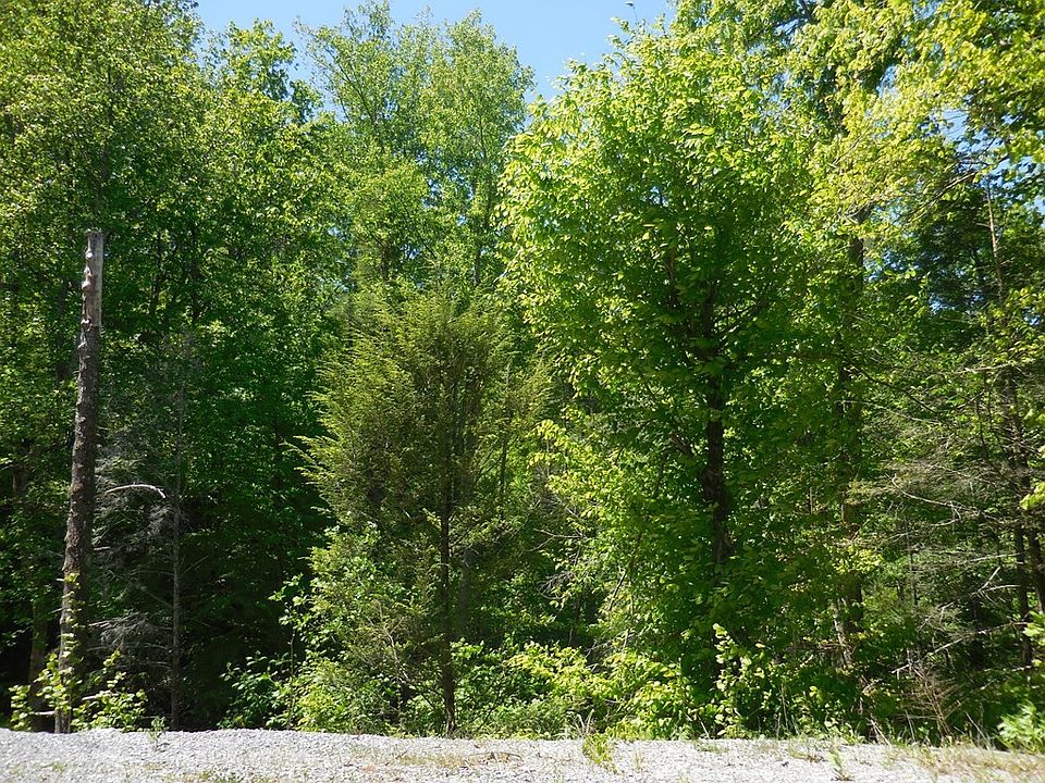 2nd image of 53 Little Cove Rd Lot 53
